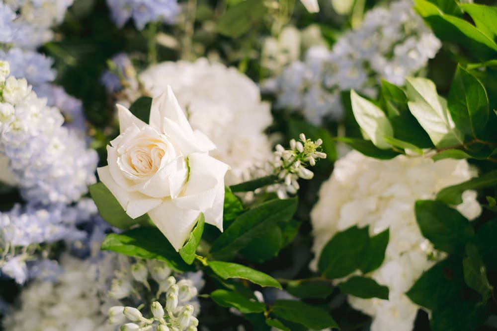 sorrento-wedding-at-relais-blu-33