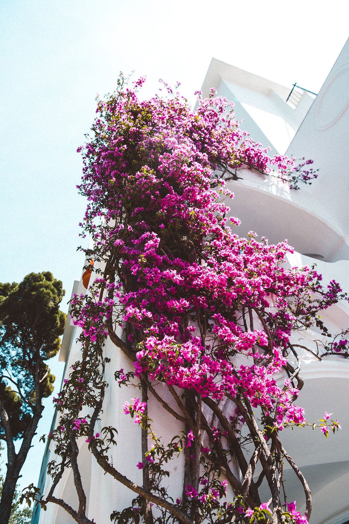 Capri Wedding Venues in Italy