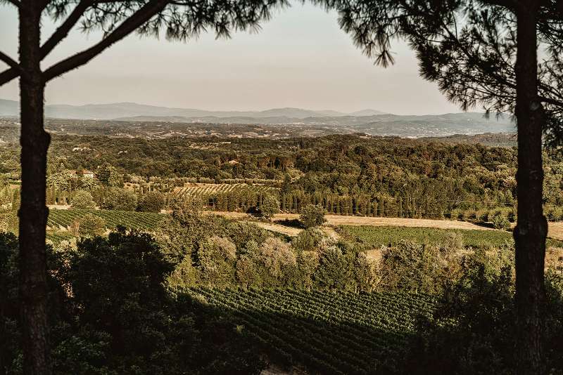 chianti-estate-22