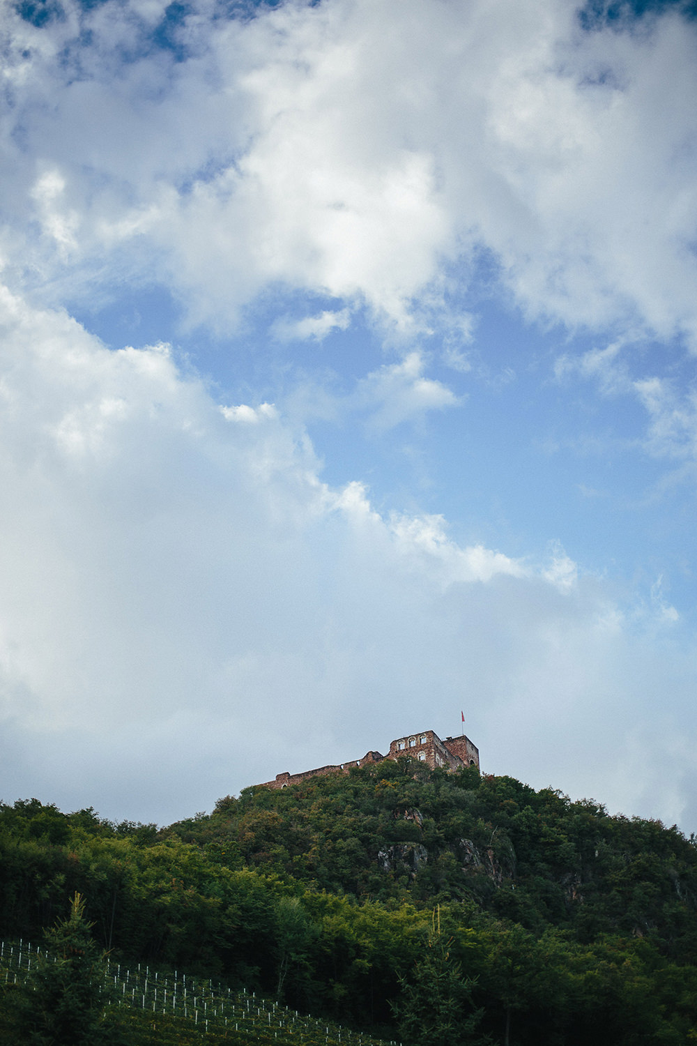 wedding-in-bolzano-castle-18