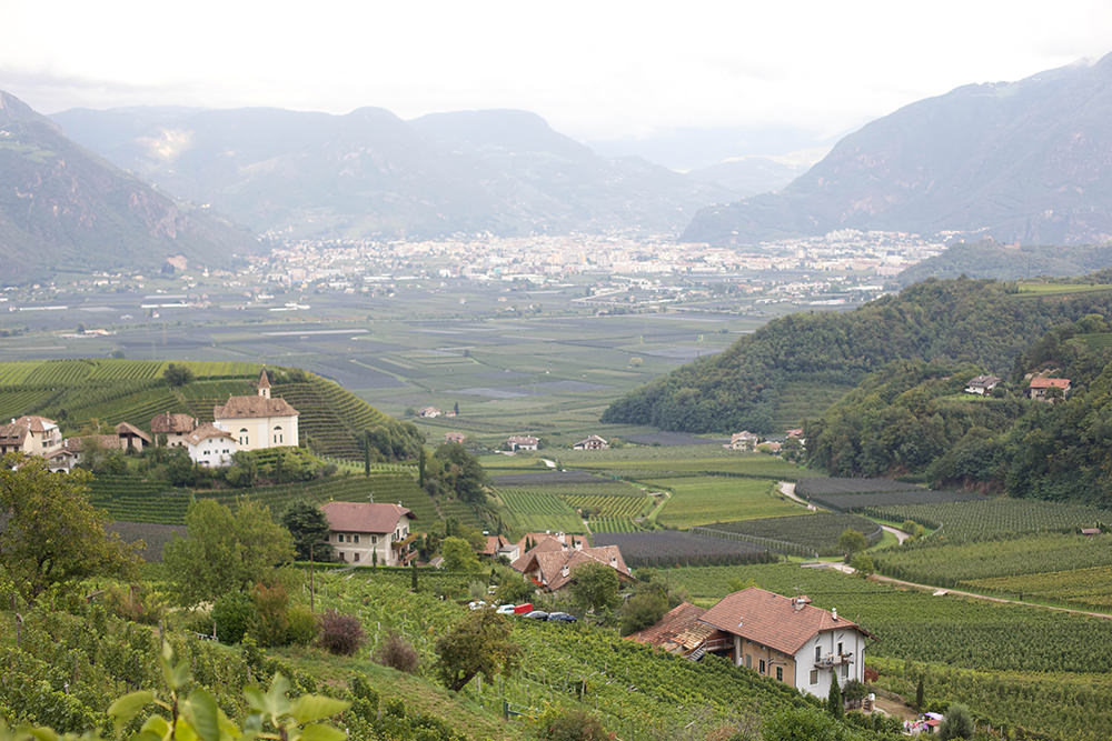 wedding-in-bolzano-castle-34