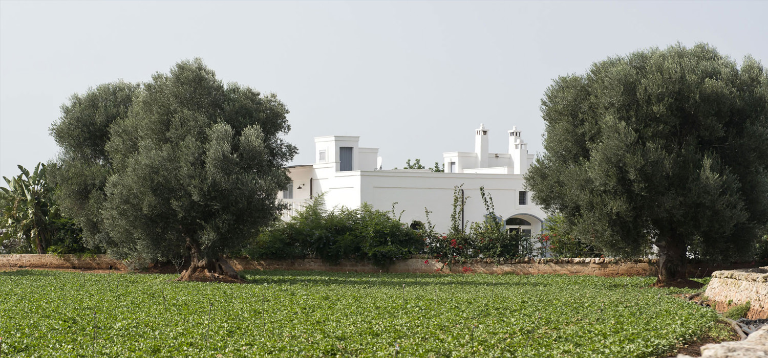 Masseria La Francescana - wedding in Puglia