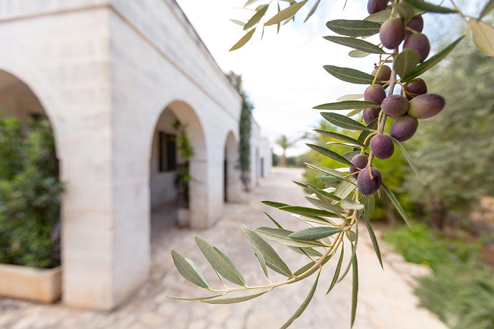 masseria-san-domenico-07