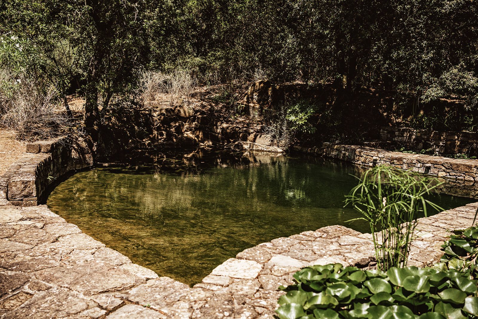 chianti-estate-09a
