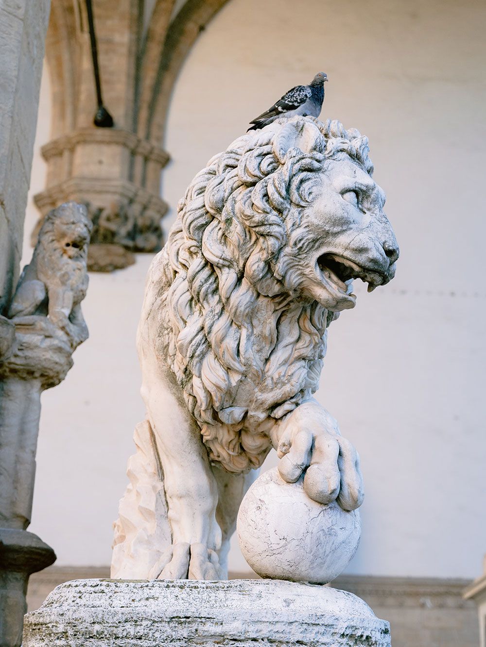 Florence