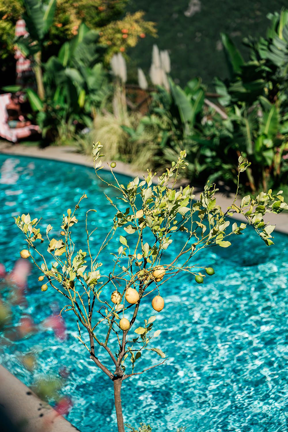 ravello-wedding-at-palazzo-avino-08
