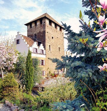 Fairytale Alpine Castle