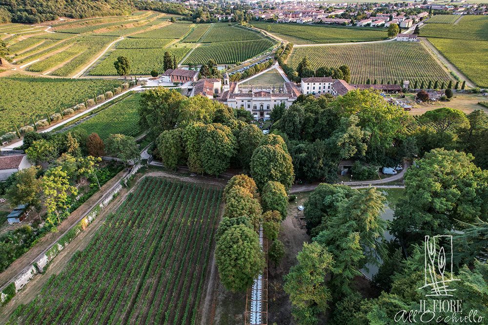 villa-mosconi-bertani-wedding-07