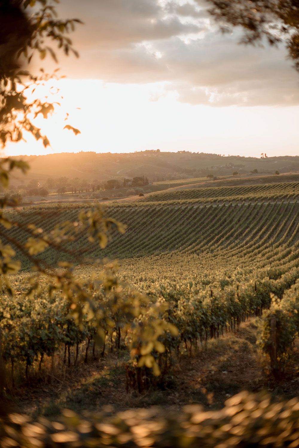 luxury-chianti-wedding-estate-23