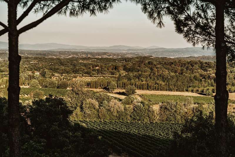 chianti-estate-22