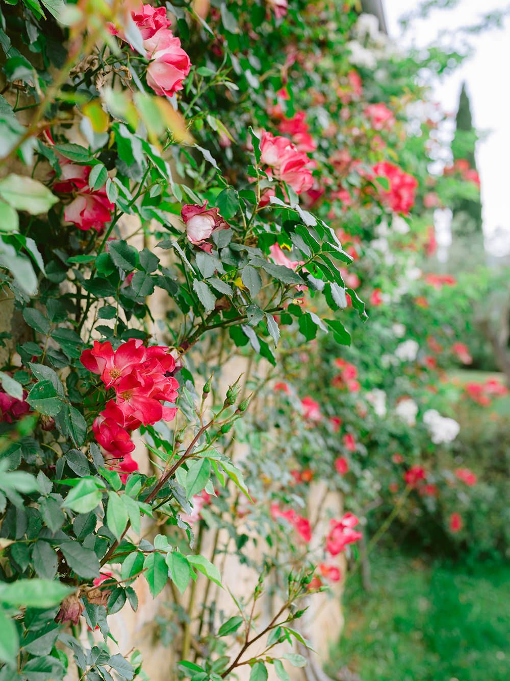 wedding-in-chianti-estate-14