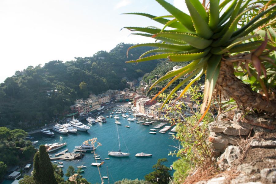 wedding-in-portofino-11