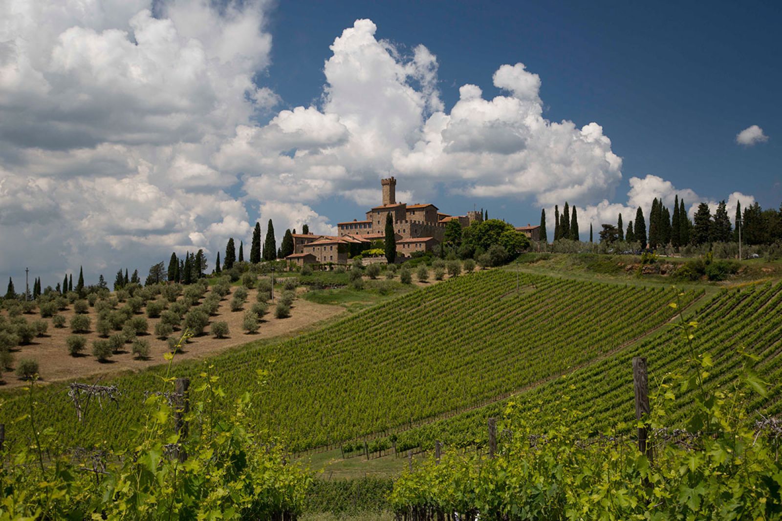 Castello Banfi